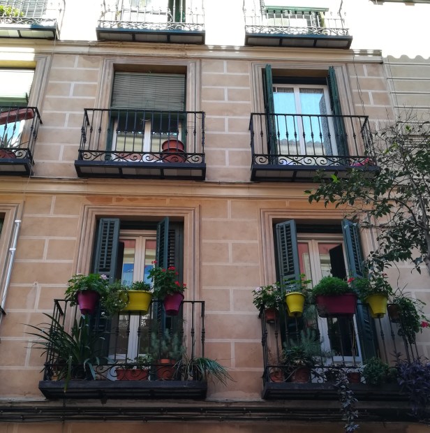 IMG_20171023_143739 (2).jpg