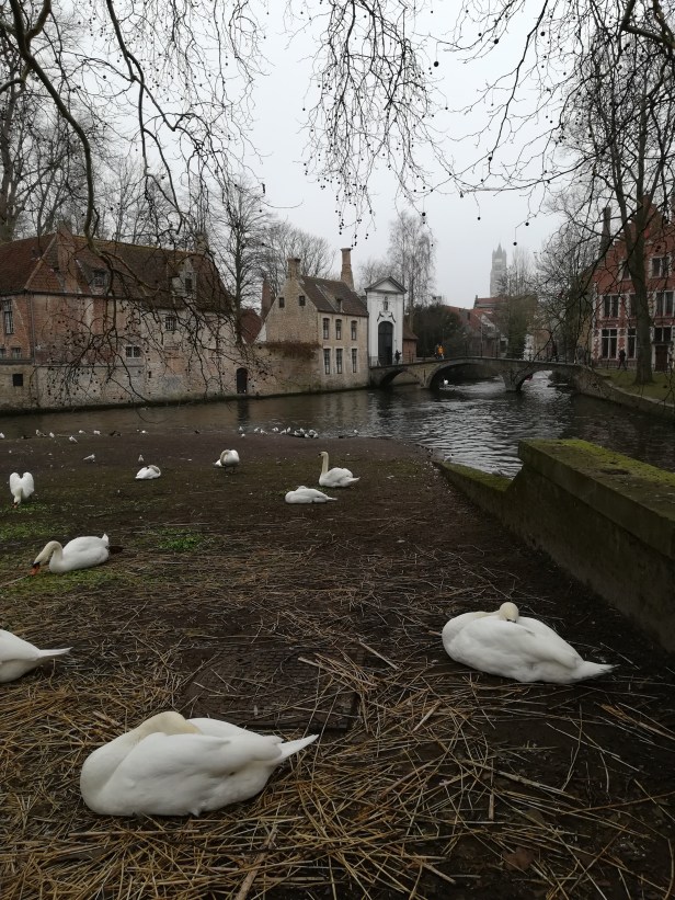 Bruges